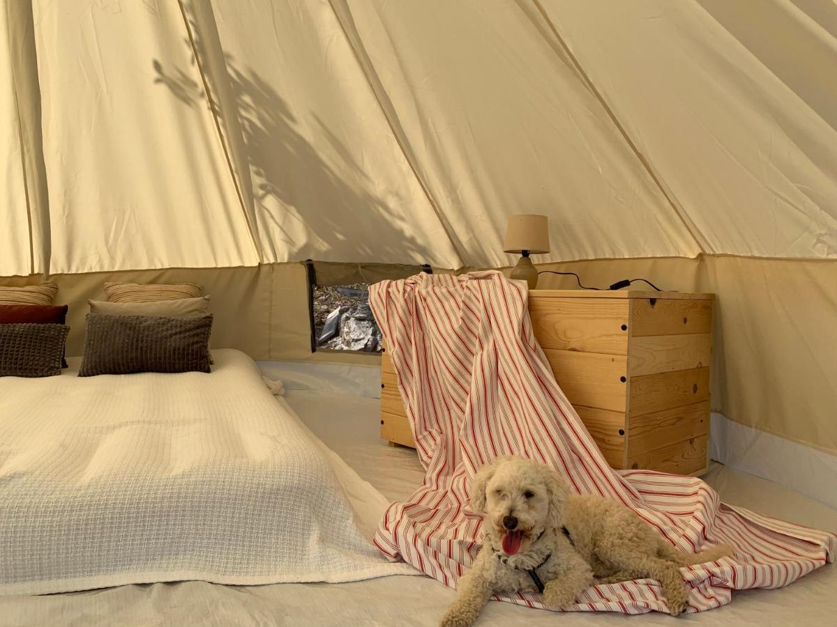 Bigova Glamping